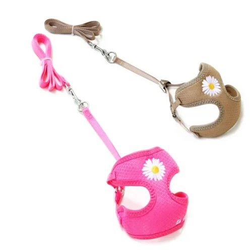 Harness and Leash for Small and Medium Dogs, Kitten Harness Set, Daisy Embroidery, Puppy Collar, Cute Kitten, Chihuahua, Yorkie